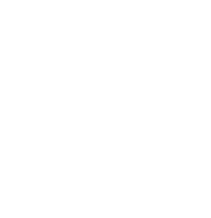 Icône organisation
